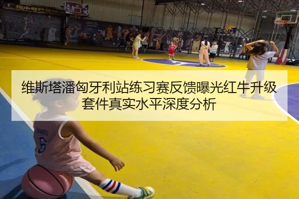 维斯塔潘匈牙利站练习赛反馈曝光红牛升级套件真实水平深度分析